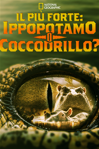 Il più forte: ippopotamo o coccodrillo? poster