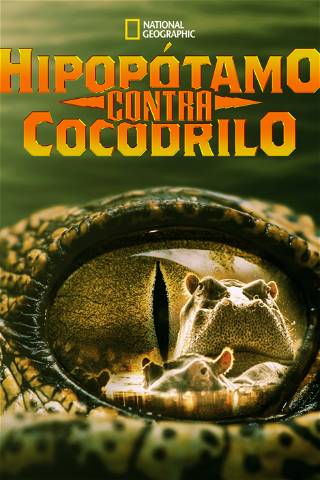 Hipopótamo contra cocodrilo poster