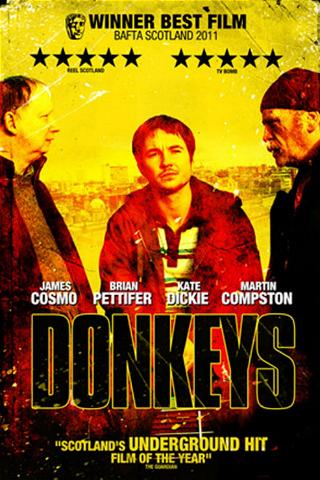 Donkeys poster