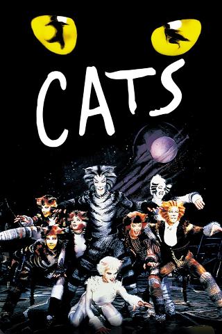 Cats (1999) poster