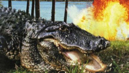 Gator King poster
