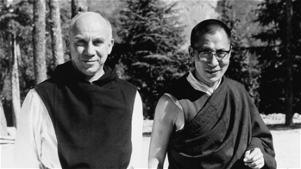 Der letzte Dalai Lama? poster