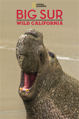 La côte sauvage de Californie poster
