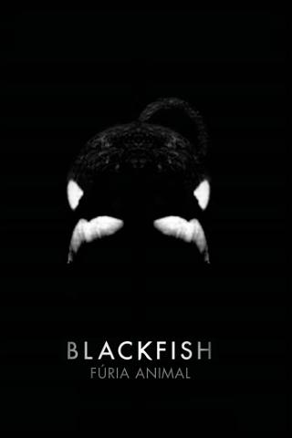 Blackfish: Fúria Animal poster