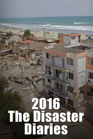2016: The Disaster Diaries poster