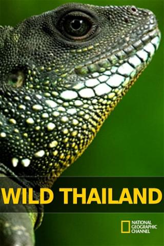 Tailandia Salvaje poster