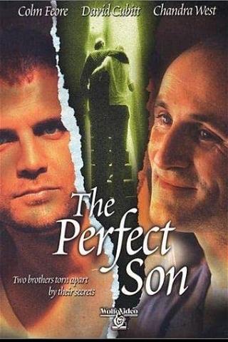The Perfect Son poster