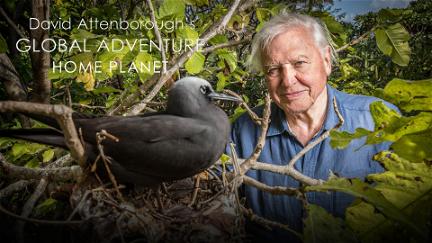 David Attenborough's Global Adventure - Home Planet poster