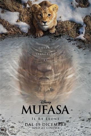 Mufasa: Il re leone poster