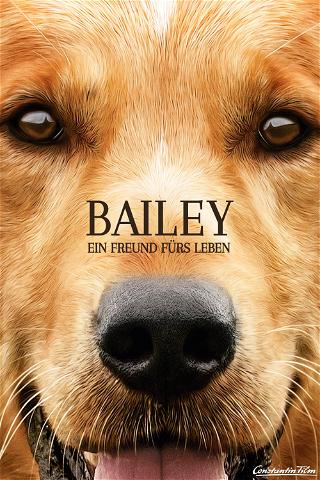 Bailey – Ein Freund fürs Leben poster
