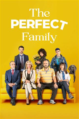A Família Perfeita poster