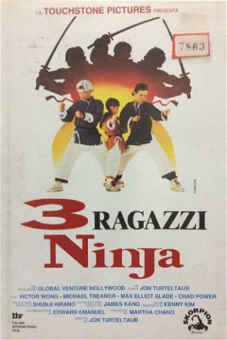 3 ragazzi ninja poster