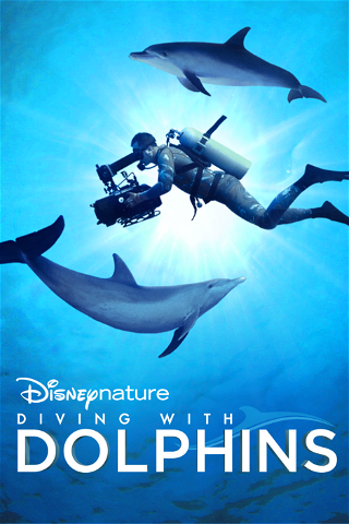 Dyka med delfiner poster