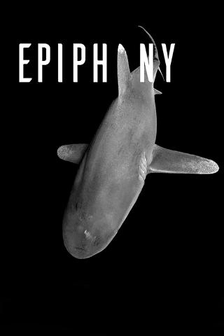 Epiphany poster