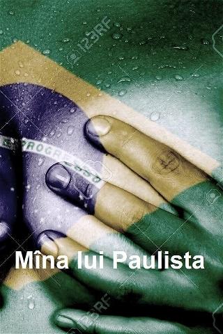 Mâna lui Paulista poster