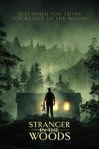 Stranger in the Woods poster