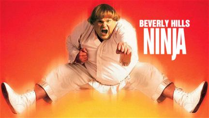 O Ninja De Beverly Hills poster