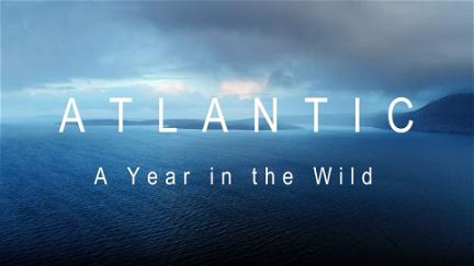 Atlantic: A Year in the Wild poster