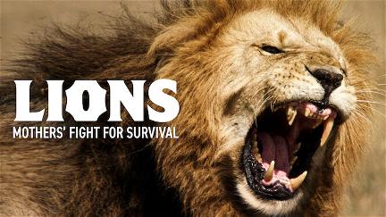 Löwen - Der Kampf der Mütter poster