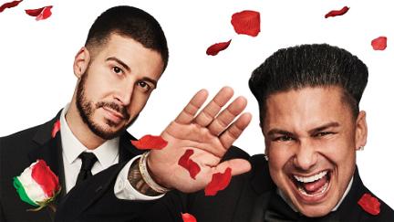 Double Shot at Love with DJ Pauly D & Vinny poster