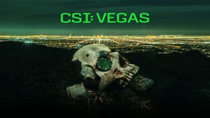 CSI: Vegas poster