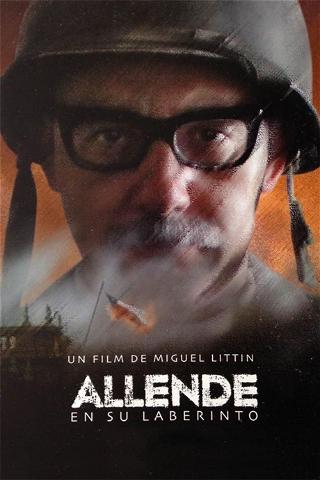 Allende en su laberinto poster