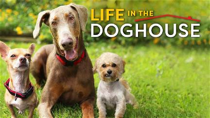 Life in the Doghouse poster