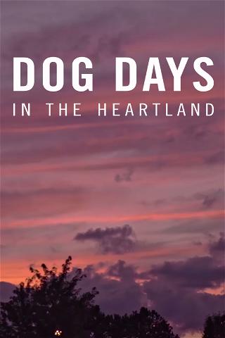 Dog Days in the Heartland poster