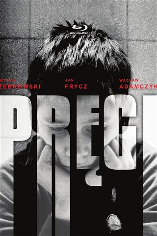Pregi poster