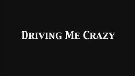 Driving Me Crazy poster