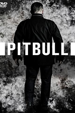 Pitbull: Fuerza Bruta poster