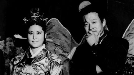 The Lovers and the Despot poster