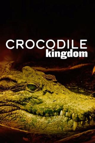Crocodile Kingdom poster