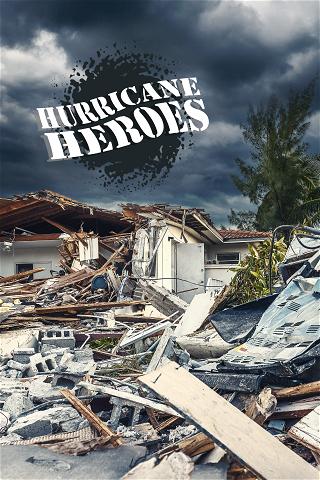 Hurricane Heroes poster