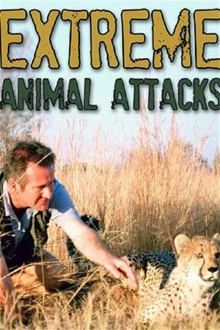 Extreme Animal Attacks poster
