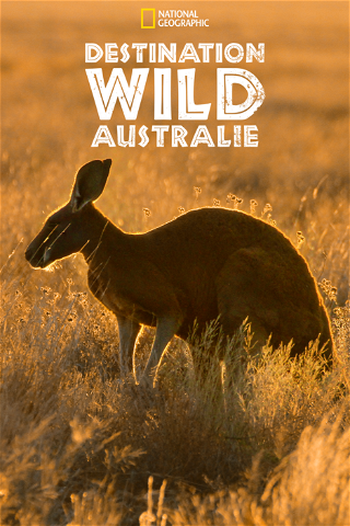 Destination Wild : Australie poster
