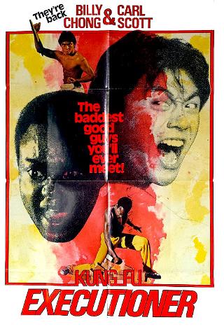 Los Asesinos Del Kung Fu (Doblado) poster