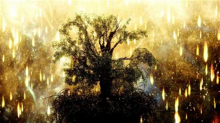 L'albero della vita - The Fountain poster