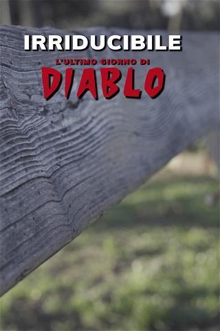 Irriducibile - L'ultimo giorno di Diablo poster