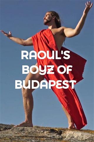 Raoul's Boyz of Budapest poster