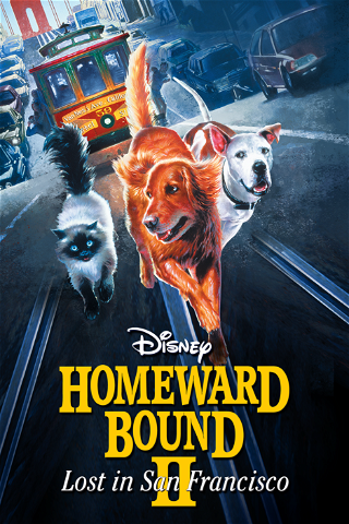 Homeward Bound II: Lost in San Francisco poster