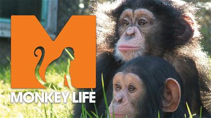 Monkey Life poster
