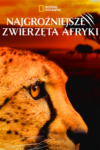 Najgroźniejsze zwierzęta Afryki poster