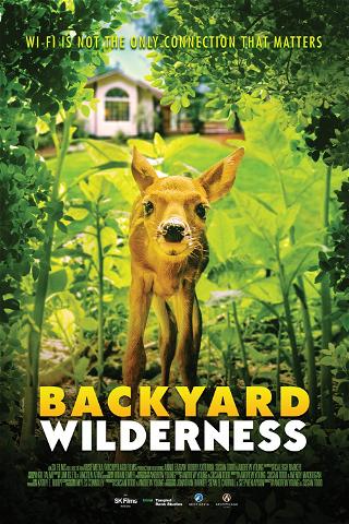 Backyard Wilderness poster