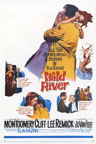 Wild River poster