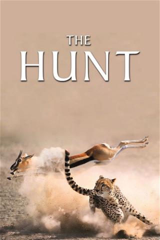 La caza poster