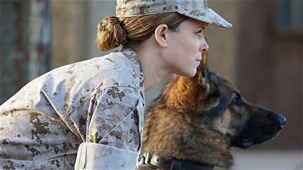 Sergeant Rex: Nicht ohne meinen Hund poster