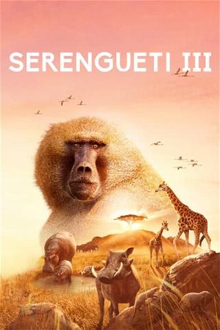 Serengueti poster