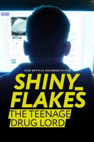 Shiny Flakes: The Teenage Drug Lord poster